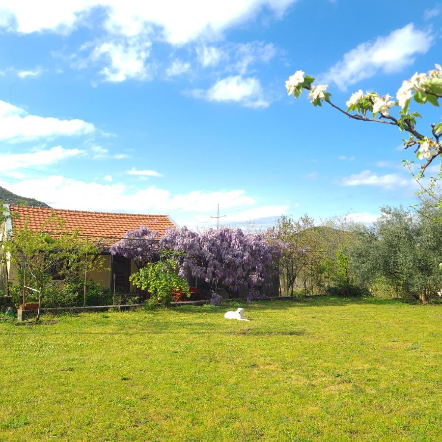 וירפזאר Ivan'S Holiday Home מראה חיצוני תמונה
