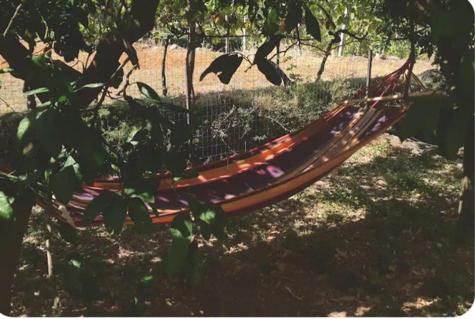 וירפזאר Ivan'S Holiday Home מראה חיצוני תמונה
