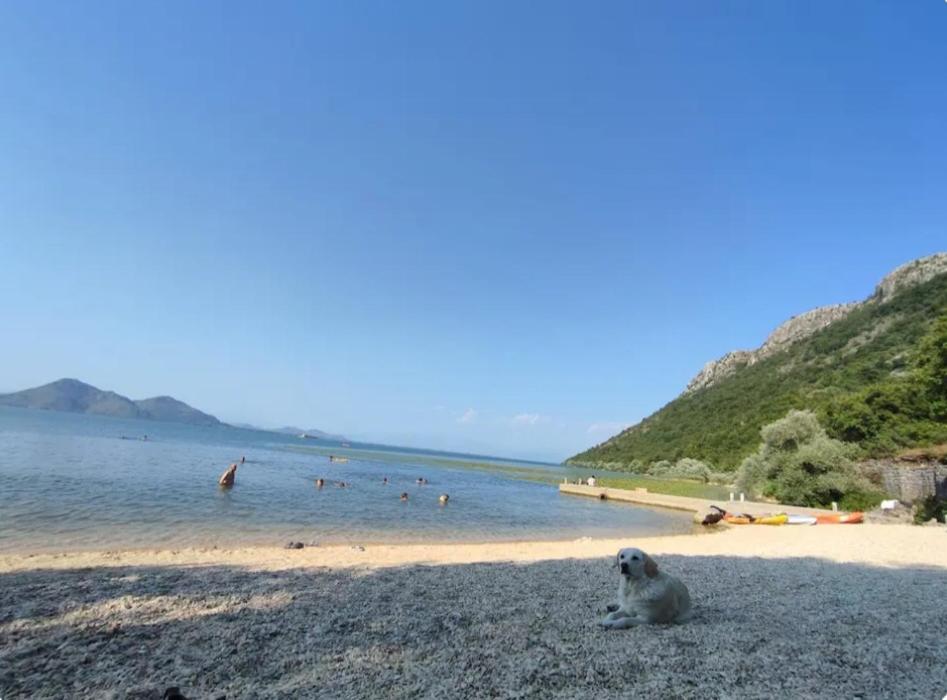 וירפזאר Ivan'S Holiday Home מראה חיצוני תמונה